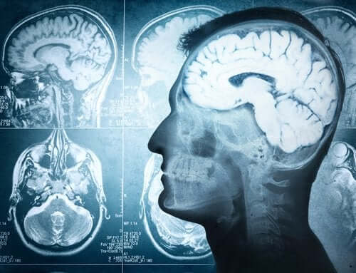 Części mózgu i ich funkcje – odkryj zagadki naszego umysłu