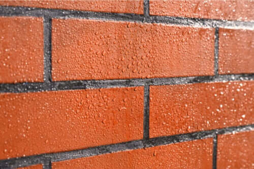 Pleśń na ścianach z cegły - jak chronić mury?