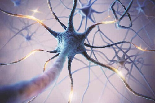 Neurony