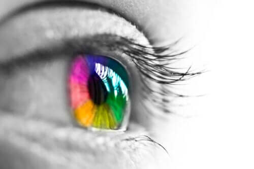 Jak nasze oczy postrzegają kolory?