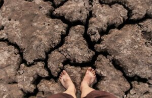 Zmiana klimatu najbardziej szkodzi wrażliwym populacjom