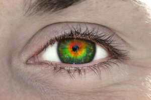 Co to jest tetrachromacja i co to znaczy?