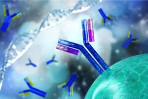 Test na przeciwciała przeciwjądrowe - jego charakterystyka