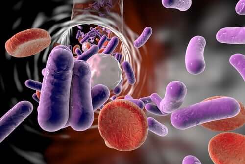 Bakteriemia – dowiedz się wszystkiego na ten temat