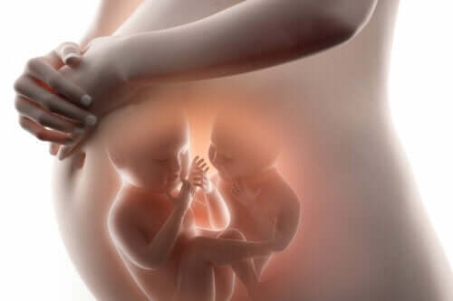Superfetacja, czyli zajście w ciążę w ciąży