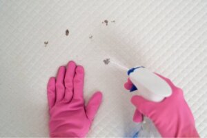 Mity na temat czyszczenia materaca i pościeli