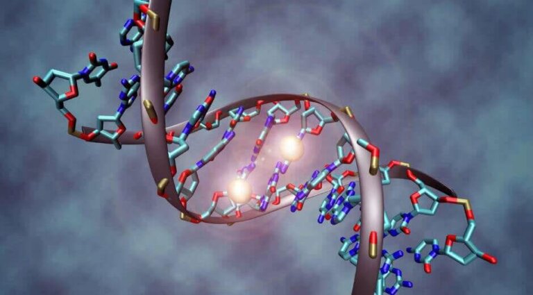 Wszystko, co musisz wiedzieć na temat DNA