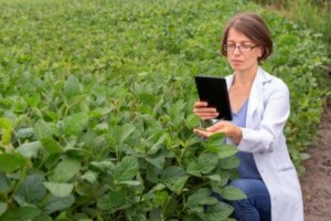 Hormony bioidentyczne: potencjalne korzyści i zagrożenia