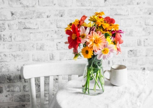 Jesienne kwiaty — naturalny pozytywny akcent refleksyjną porą roku