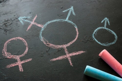 Czy znasz różne orientacje seksualne?
