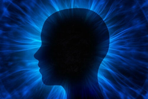 Umysł kwantowy — teoria pozwalająca opisać ludzką świadomość