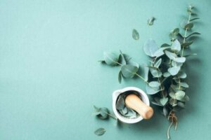 Poznaj korzyści i zalety eukaliptusa dostępne dla każdego