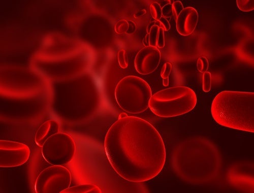 7 domowych sposobów na wzmocnienie naczyń krwionośnych