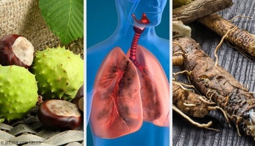 4 domowe sposoby na wzmocnienie płuc