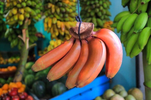 Czerwone banany: jakie są ich zalety?