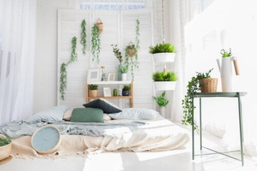 Spanie z roślinami w sypialni: czy kradną nam powietrze?