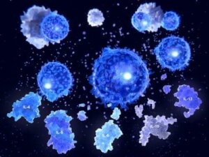 Biologiczna charakterystyka cytokin