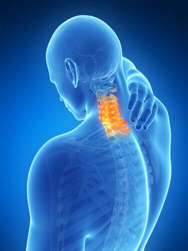 Ból kręgosłupa szyjnego – jak się objawia i co go powoduje?