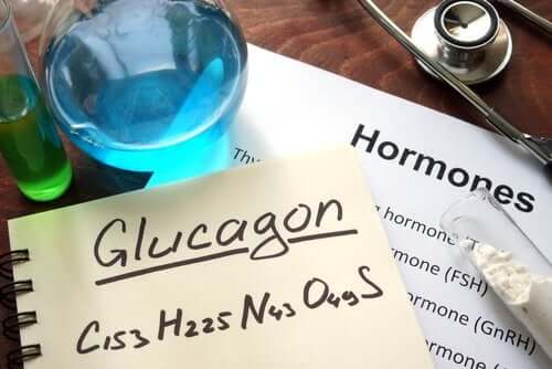 Co to jest glukagon? Jakie są jego funkcje?