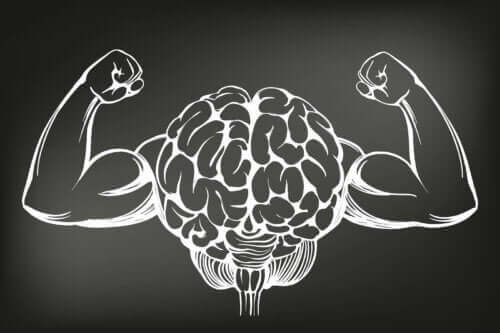 Wydajność mózgu - w jaki sposób można ją polepszyć?