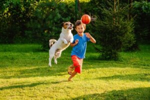 Posiadanie zwierząt: zalety i zagrożenia w rozwoju dzieci
