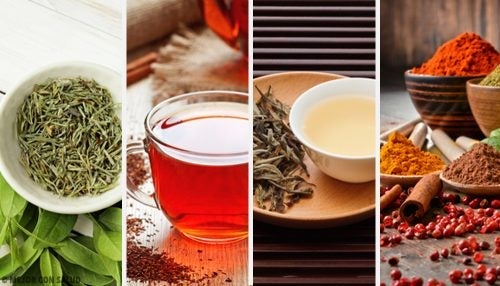 Herbaty detoksykujące organizm – jakie wybrać?