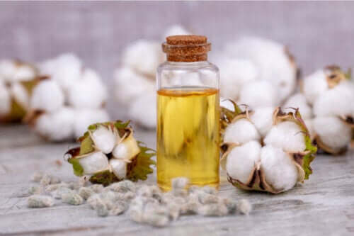 Olej z nasion bawełny - zastosowania, korzyści i zagrożenia