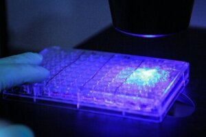 Fotoimmunoterapia skutecznie eliminuje komórki złośliwe raka