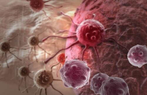 Dosterlimab - remisja raka jelita grubego u wszystkich badanych pacjentów