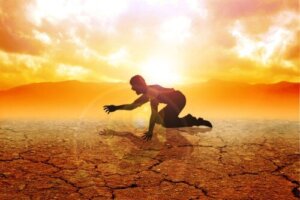 Czym są pustynie żywnościowe i jaki jest ich wpływ na zdrowie?