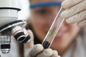 Empiryzm - cechy charakterystyczne i przykłady