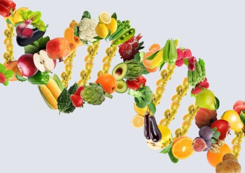 Jak nutrigenomika pomaga Twojemu zdrowiu?
