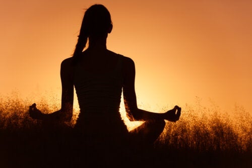 Zasady filozofii zen