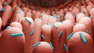 Postbiotyki - czym są i w jaki sposób pozyskać je dla organizmu