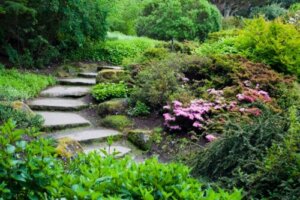Wskazówki i kroki, jak założyć ogród alpejski w swoim domu