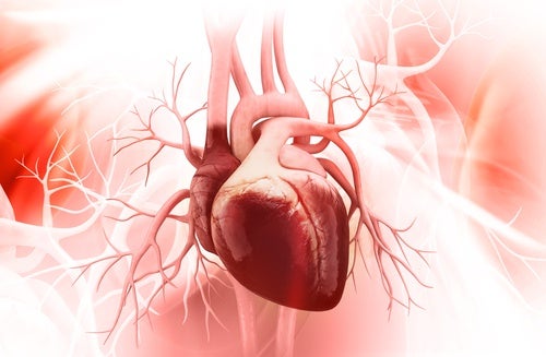 Zespół złamanego serca - jak zapobiegać chorobie?