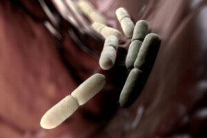 Zespół autofermentacji: dlaczego się pojawia?