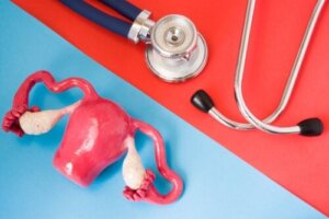 Dysfunkcja owulacji: co to jest i jak sobie z nią radzić?