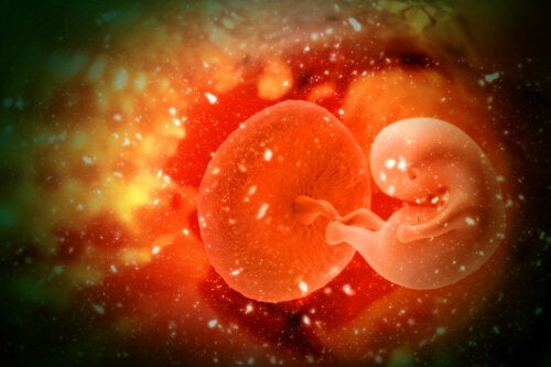Adopcja zarodka - na czym polega i jakie przynosi korzyści?
