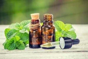 Rozmaryn i pokrzywa - kuracja dla twoich włosów