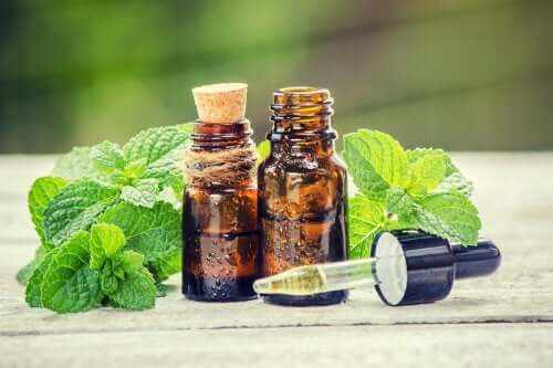 Rozmaryn i pokrzywa - kuracja dla twoich włosów