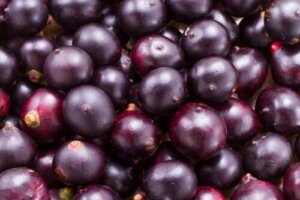 Oczyszczanie jagodami acai: dlaczego jest to niebezpieczny trend?