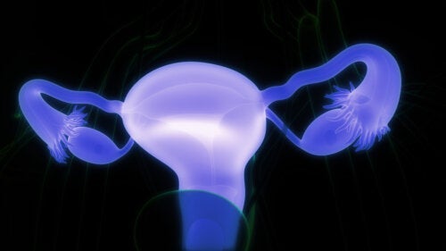 Torbiele dermoidalne jajnika: objawy i kiedy zgłosić się do lekarza