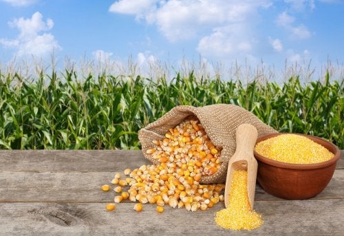 Kukurydza z puszki - 5 pysznych przepisów, które możesz zrobić