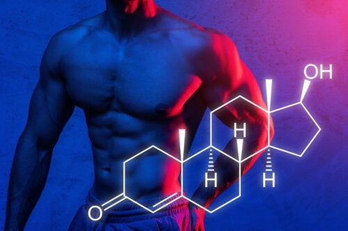 Synteza białek - jak zmaksymalizować przyrost masy mięśniowej