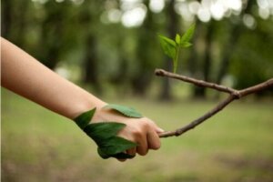 14 najlepszych cytatów dla miłośników przyrody