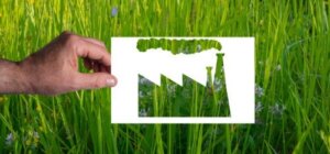 Jak rozpoznać greenwashing?