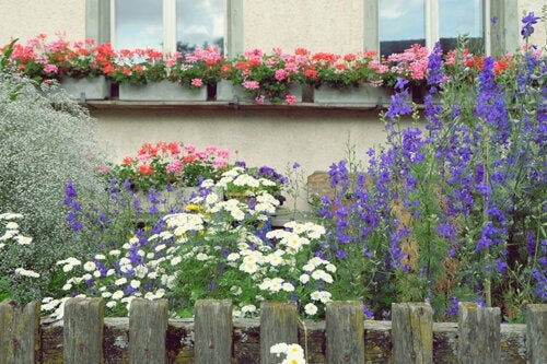 10 wysokich roślin kwitnących, które nadadzą bardziej pionowy wygląd w Twoim ogrodzie