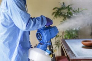 Jak posprzątać po fumigacji — kroki i porady