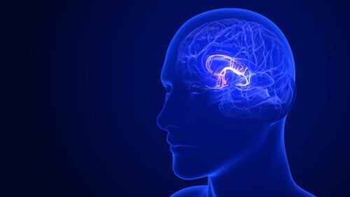 6 sposobów na stymulowanie podwzgórza dla zdrowego funkcjonowania
